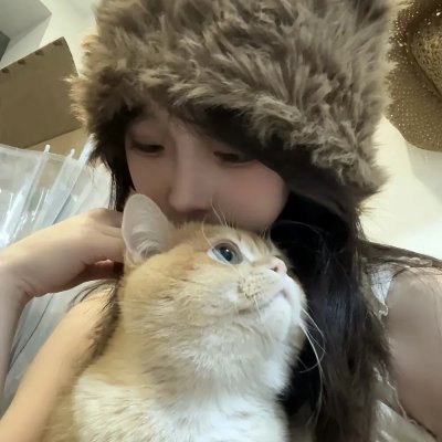 猫汤 海报