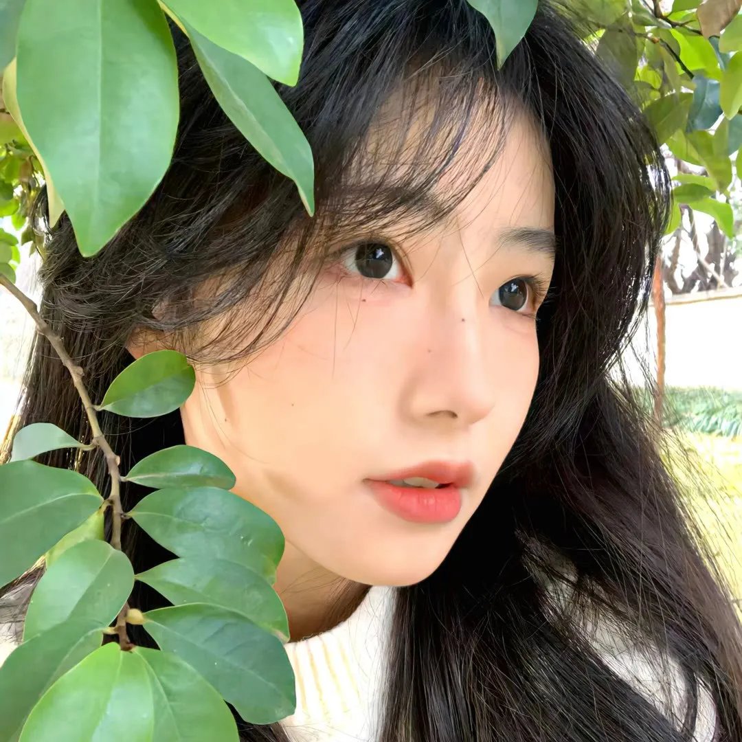 女王蜂游戏 海报