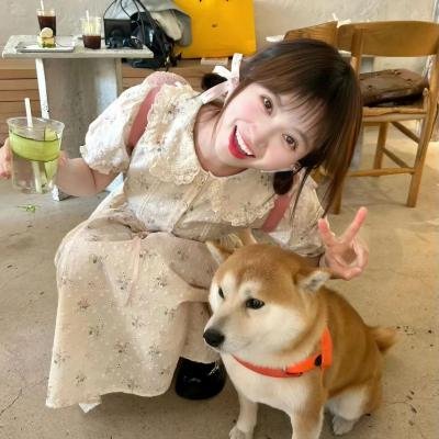 龙虎兴邦 海报
